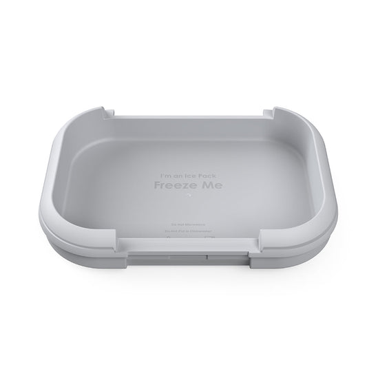 bentgo-chill-kids-replacement-ice-pack-t0 BGOCHIP.jpg