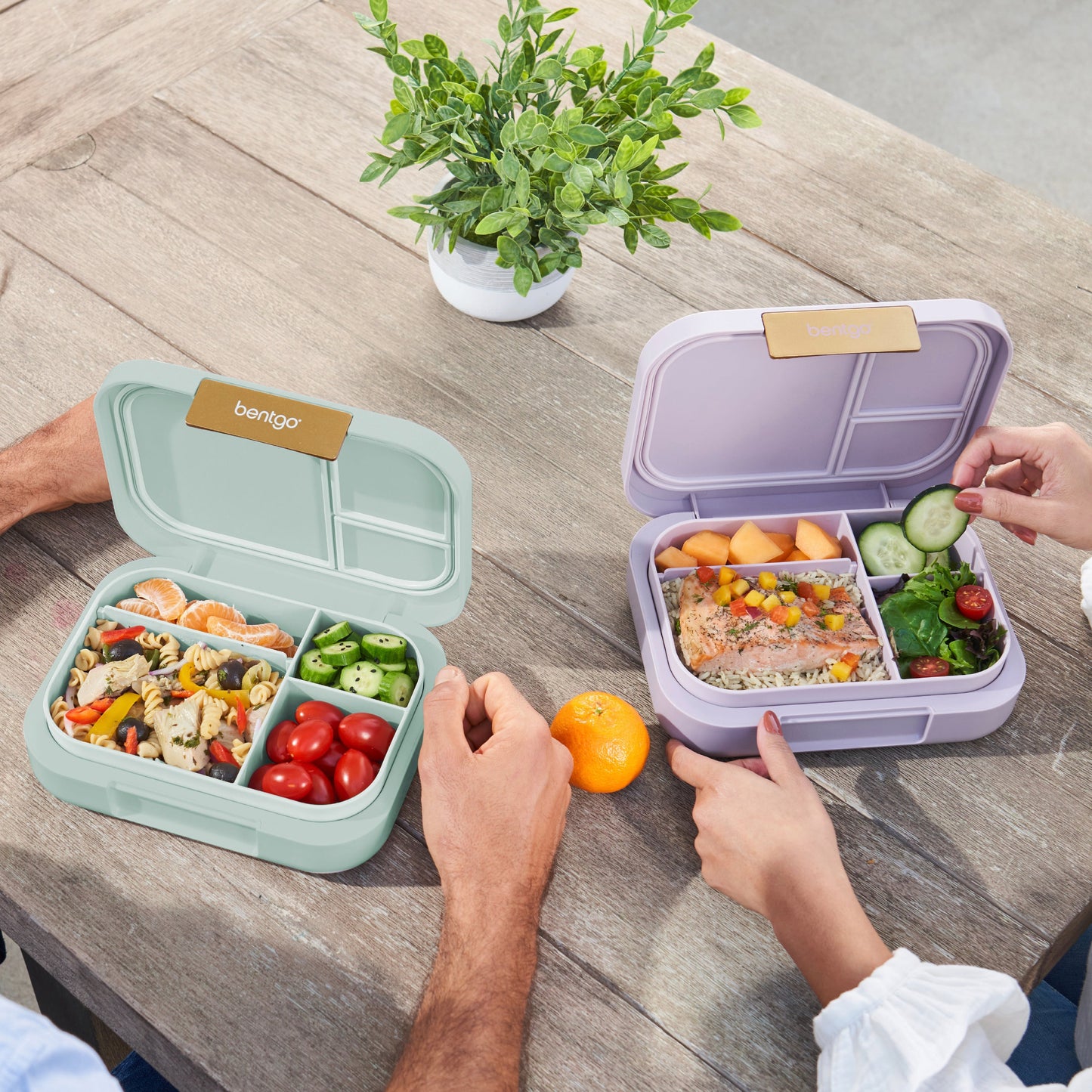 bentgo-modern-lunch-box-2-pack-g1 COSTCOBMCPRODUCTIMAGE_2.jpg